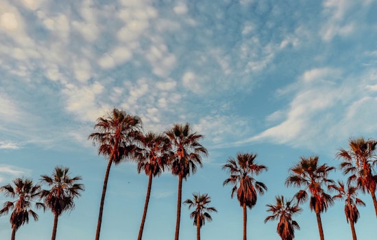 Week of Sunshine and Consistent Highs in the 70s Forecasted for Los Angeles