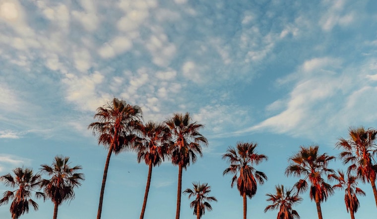 Week of Sunshine and Consistent Highs in the 70s Forecasted for Los Angeles