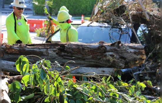 West Palm Beach to Hold Hurricane Recovery Drill as Atlantic Hurricane Season Approaches