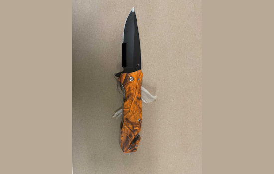 Woman Arrested for Alleged Knife Assault on Resident in Downtown Seattle