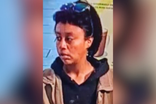 Woman Charged With Felony Kidnapping After Alleged Child Abduction Attempts in LA's Koreatown