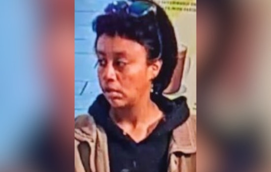Woman Charged With Felony Kidnapping After Alleged Child Abduction Attempts in LA's Koreatown