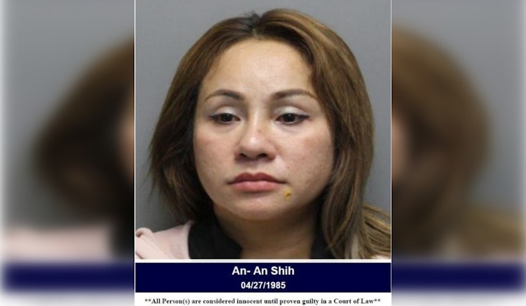 Woman Charged with Prostitution After Sting at Massage Parlor in Harris County