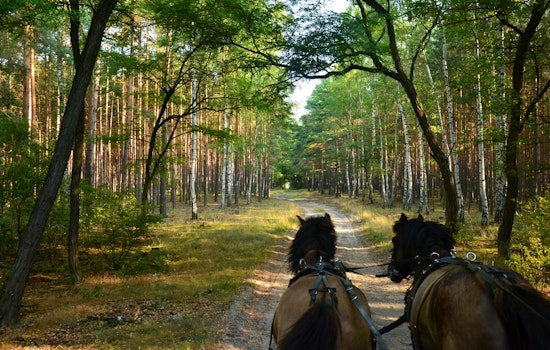 Wright County Opens Equine Trails at Regional Parks with Guidelines for Preserving Paths