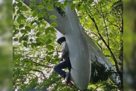 84-Year-Old Vermont Glider Pilot Rescued After Crash in New Hampshire's White Mountain