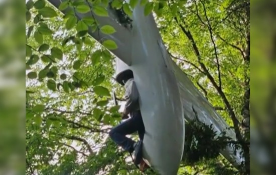 84-Year-Old Vermont Glider Pilot Rescued After Crash in New Hampshire's White Mountain
