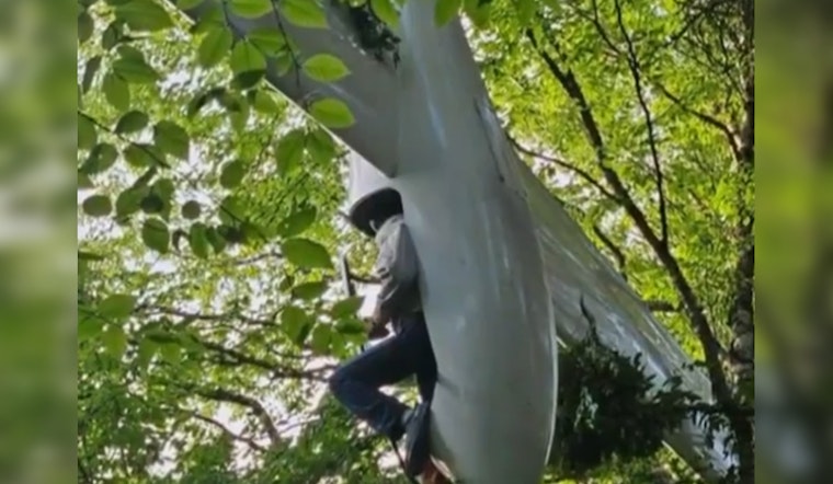 84-Year-Old Vermont Glider Pilot Rescued After Crash in New Hampshire's White Mountain