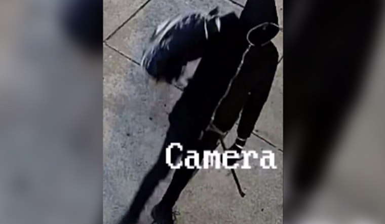 Philadelphia Police Seek Public's Help to Identify Suspect in Attempted Burglaries on Dauphin Street