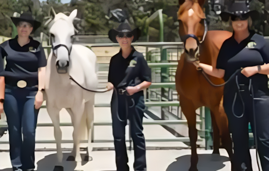 VIDEO: Alameda County Rolls Out New Livestock Evacuation Facility Amid Wildfire Preparedness Efforts in Dublin