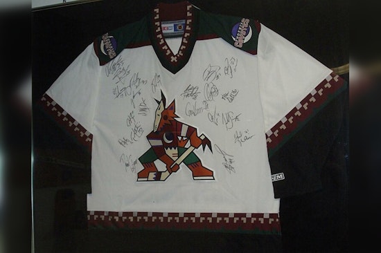 Alex Meruelo Reportedly Steps Away from Arizona Coyotes Ownership Amid Arena Woes