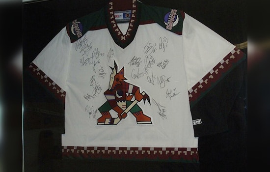Alex Meruelo Reportedly Steps Away from Arizona Coyotes Ownership Amid Arena Woes