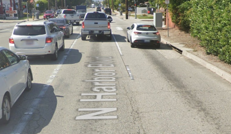 Anaheim Police Scrutinized After In-Custody Death of Man Suspected of Drug Use