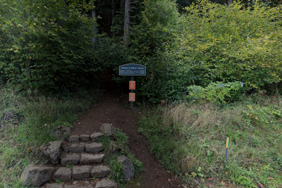 Angel’s Rest Trail Set to Reopen in Columbia River Gorge After Cougar Stalking Incident