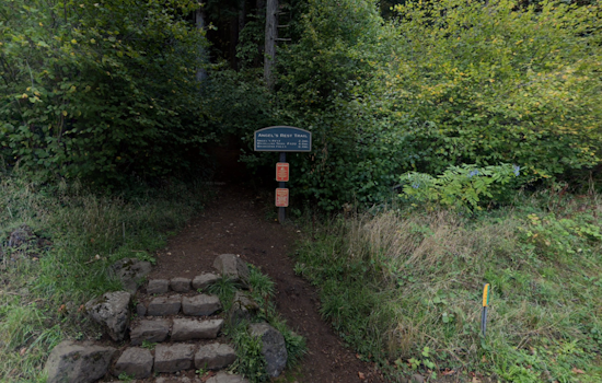 Angel’s Rest Trail Set to Reopen in Columbia River Gorge After Cougar Stalking Incident