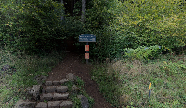 Angel’s Rest Trail Set to Reopen in Columbia River Gorge After Cougar Stalking Incident