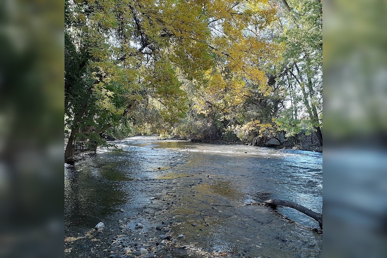 Arizona Boy, 12, Dies After Being Swept Away in Provo River Near Bridal Veil Falls