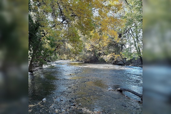 Arizona Boy, 12, Dies After Being Swept Away in Provo River Near Bridal Veil Falls