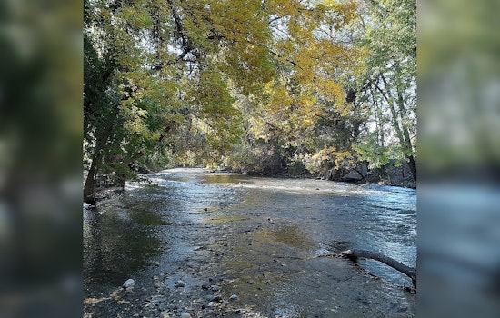 Arizona Boy, 12, Dies After Being Swept Away in Provo River Near Bridal Veil Falls