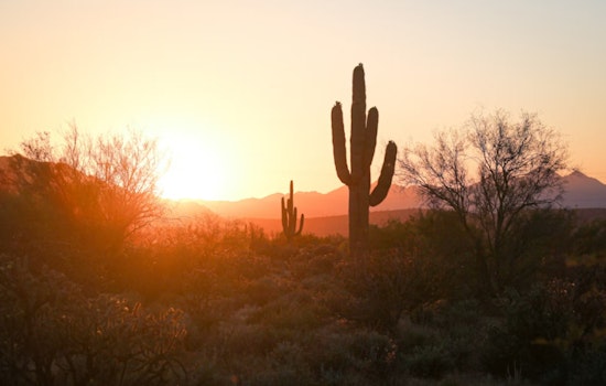 Arizonans Warned as Excessive Heat Watch Issued Across 12 Counties with Potential 113-Degree Highs
