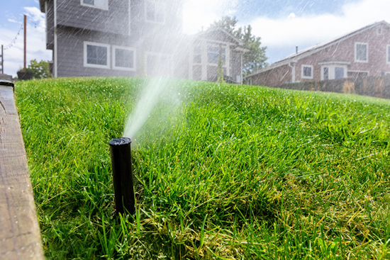 Arlington Encourages Smart Water Use with Tips and Classes During Hot Summer Months