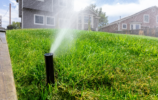 Arlington Encourages Smart Water Use with Tips and Classes During Hot Summer Months