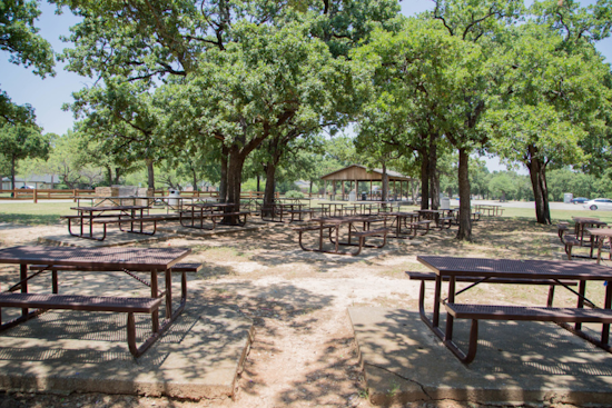 Arlington's Board Walk Event Invites Residents to Shape the Future of Local Parks