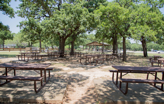 Arlington's Board Walk Event Invites Residents to Shape the Future of Local Parks