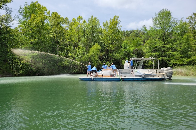 Austin Continues Fight Against Toxic Algae in Lady Bird Lake with Lanthanum-Based Treatment