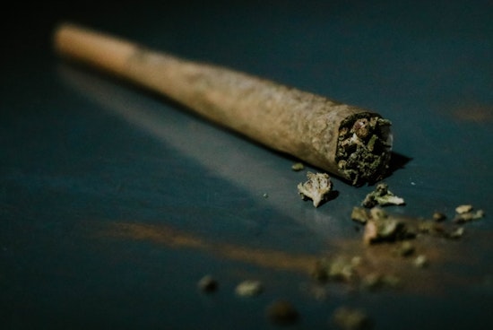 Austin Judge Upholds Decriminalization of Marijuana, Rejects State Lawsuit in Landmark Ruling