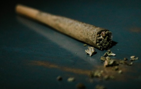 Austin Judge Upholds Decriminalization of Marijuana, Rejects State Lawsuit in Landmark Ruling