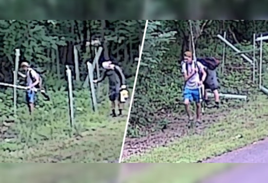 Authorities Search for Two Suspects in Connection with Vandalism of 60 Trees on Crow Creek Trail in Montgomery County