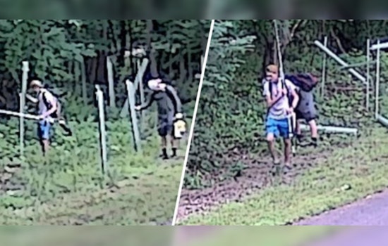 Authorities Search for Two Suspects in Connection with Vandalism of 60 Trees on Crow Creek Trail in Montgomery County