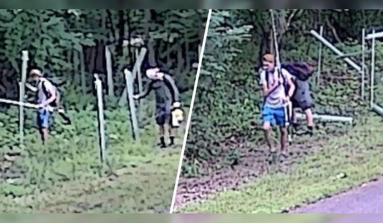 Authorities Search for Two Suspects in Connection with Vandalism of 60 Trees on Crow Creek Trail in Montgomery County