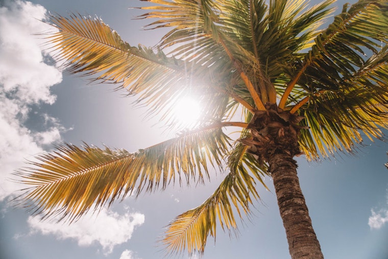 Bay Area Businesses and Construction Sites Implement Creative Cooling Strategies for Summer Heat