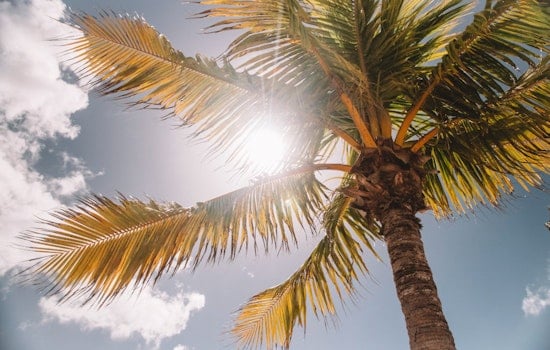 Bay Area Businesses and Construction Sites Implement Creative Cooling Strategies for Summer Heat