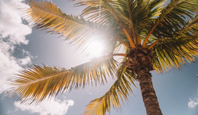 Bay Area Businesses and Construction Sites Implement Creative Cooling Strategies for Summer Heat