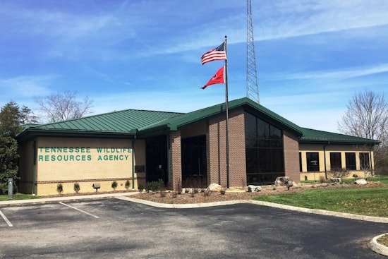 Bear to Be Euthanized After Close Encounter at Gatlinburg Hotel, TWRA Cites Food Conditioning