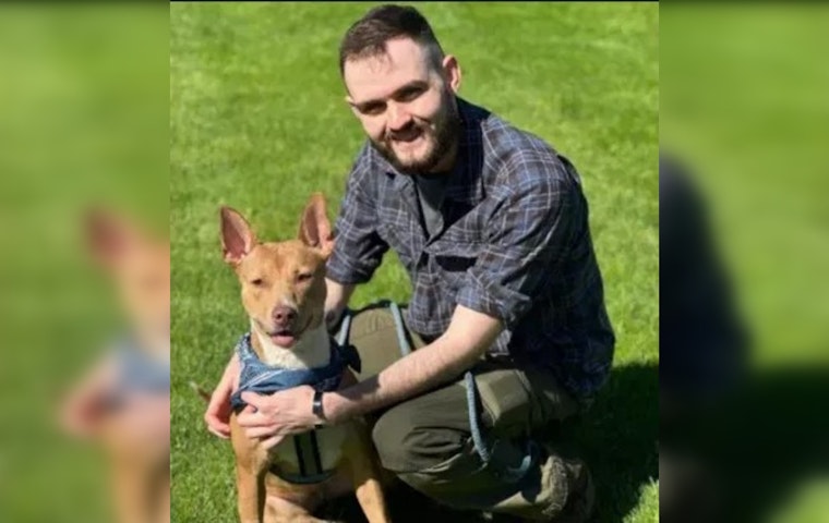 Beaverton Man Charged With Animal Abuse, Washington County Deputy Adopts Rescued Dog