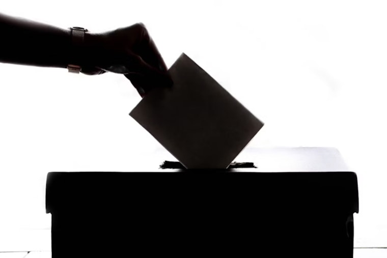 Bibb County GOP Leader's Efforts to Challenge Voter Registrations with Eagle AI Tool Rejected by Local Board