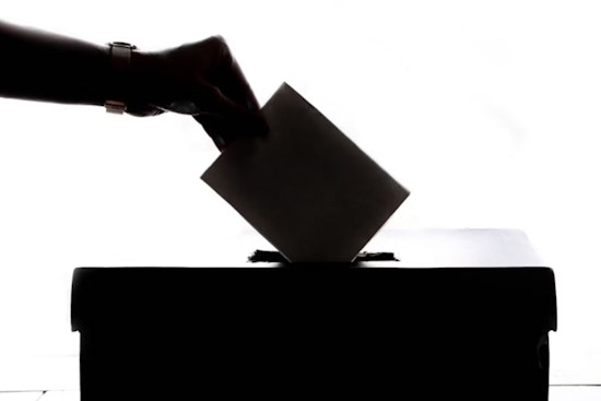 Bibb County GOP Leader's Efforts to Challenge Voter Registrations with Eagle AI Tool Rejected by Local Board