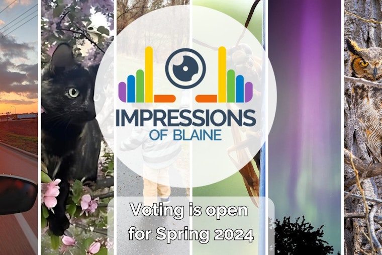 Blaine Invites Residents to Decide on the City's Best Snapshots in 2024 Impressions of Blaine Photo Contest
