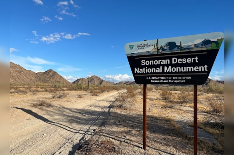 BLM Announces New Target Shooting Regulations to Protect Sonoran Desert National Monument's Ecosystem