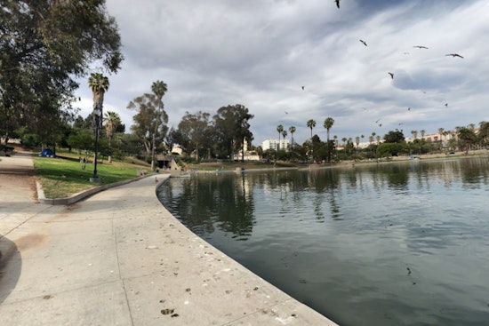 Body Found in MacArthur Park Lake Leads LAPD to Investigate Homicide, Suspects Sought