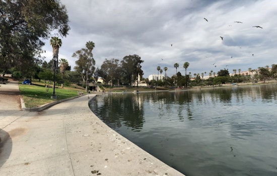 Body Found in MacArthur Park Lake Leads LAPD to Investigate Homicide, Suspects Sought