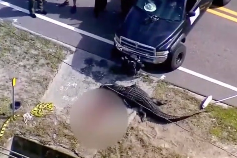 Bodycam Footage Shows Response to Fatal Alligator Attack in Largo, Florida