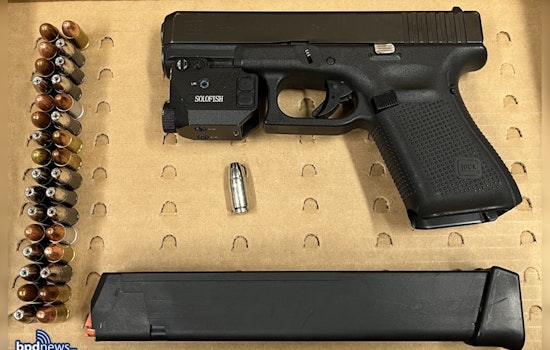 Boston Police Arrest 20-Year-Old Savon Barbosa on Weapons Charges Amid Firearm Investigation in Hyde Park