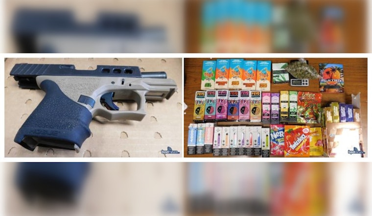 Boston Police Arrest Three Suspects in Hyde Park: Unlawful Firearm Possession and Property Vandalism Charges