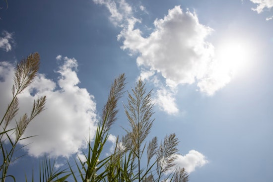Boston to Bask in Sunny Skies Before Weekend Rain Showers, Says National Weather Service