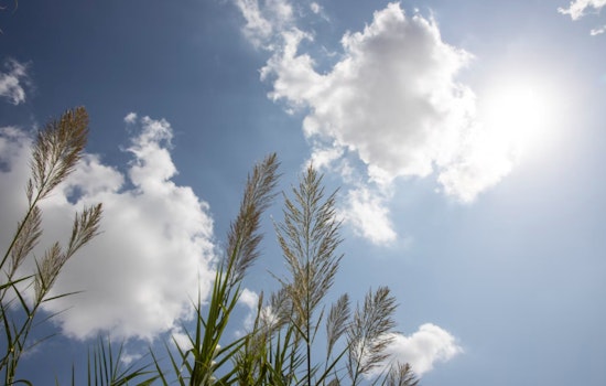 Boston to Bask in Sunny Skies Before Weekend Rain Showers, Says National Weather Service
