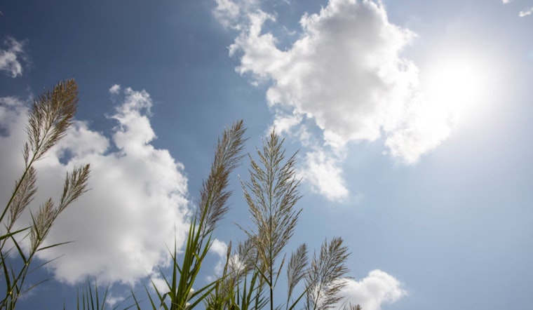 Boston to Bask in Sunny Skies Before Weekend Rain Showers, Says National Weather Service